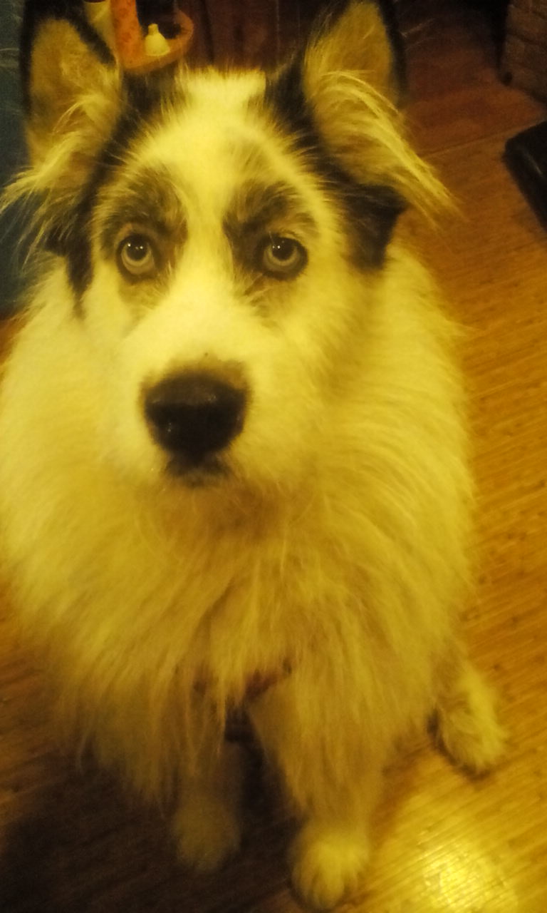 Здесь и сейчас