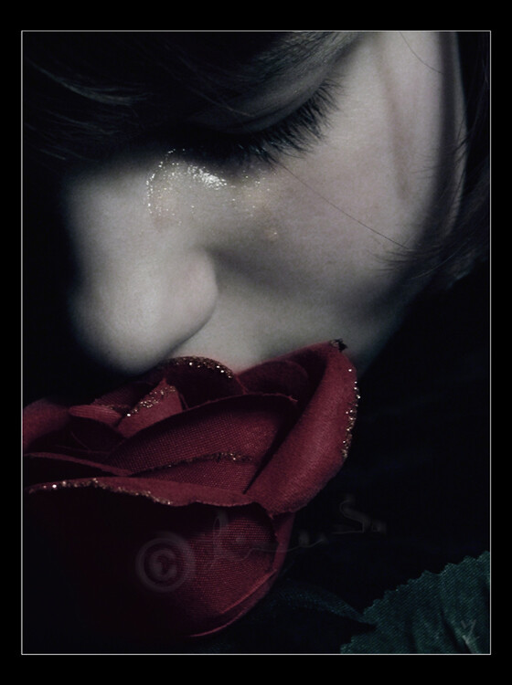 В полях тишины