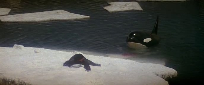 Зеркало в бездне