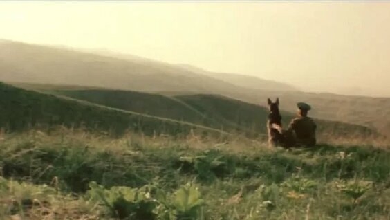 Под прицелом