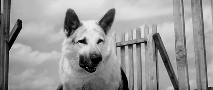 Верность вне устава