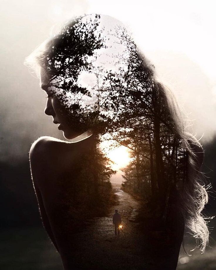 Тень за чертой