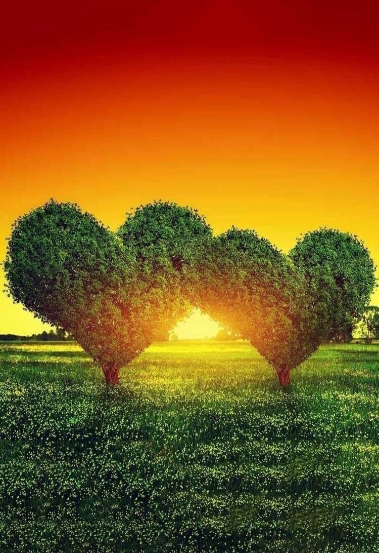 Природа нас соединит 