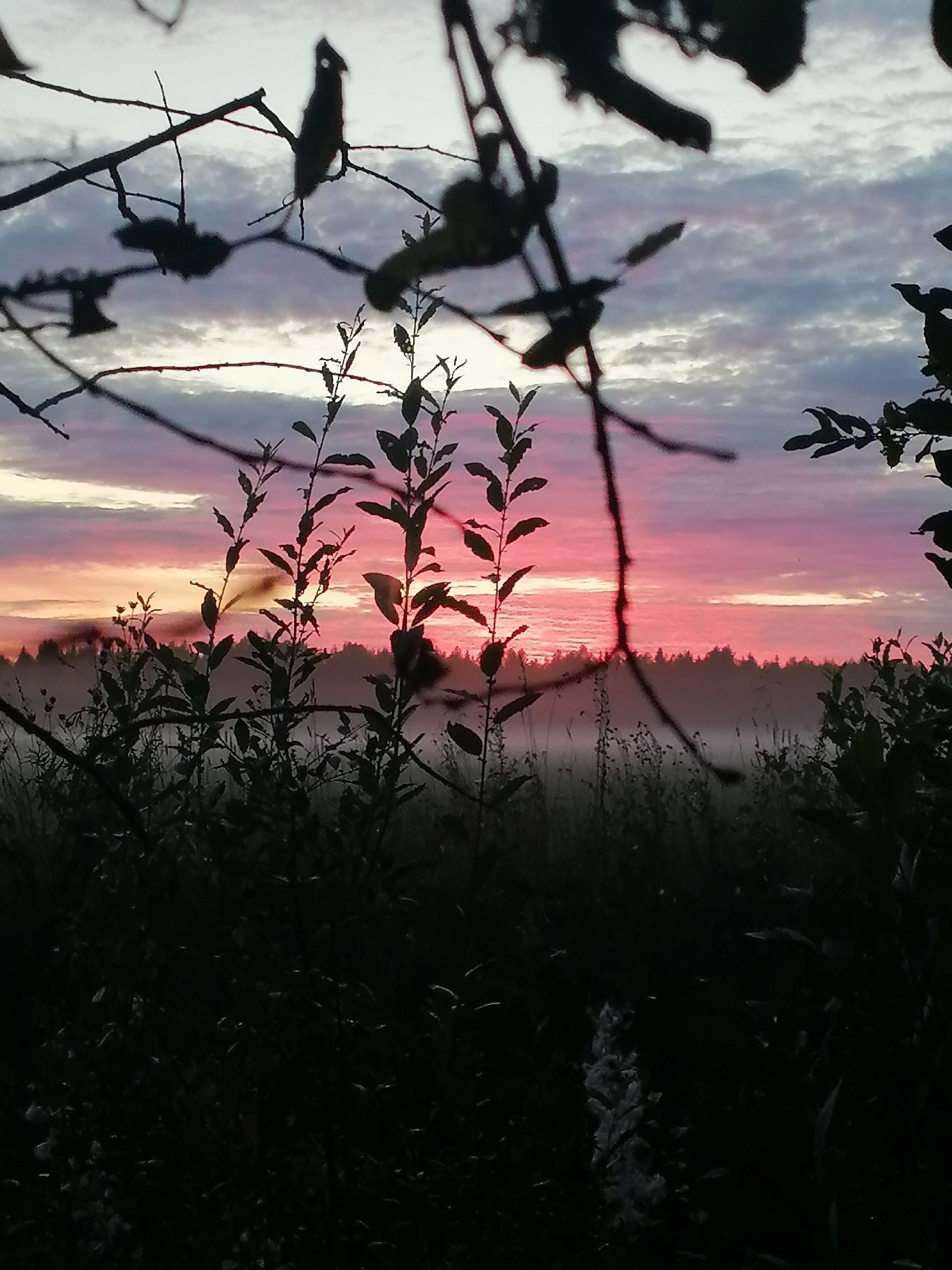 Август. Закат над крышей...