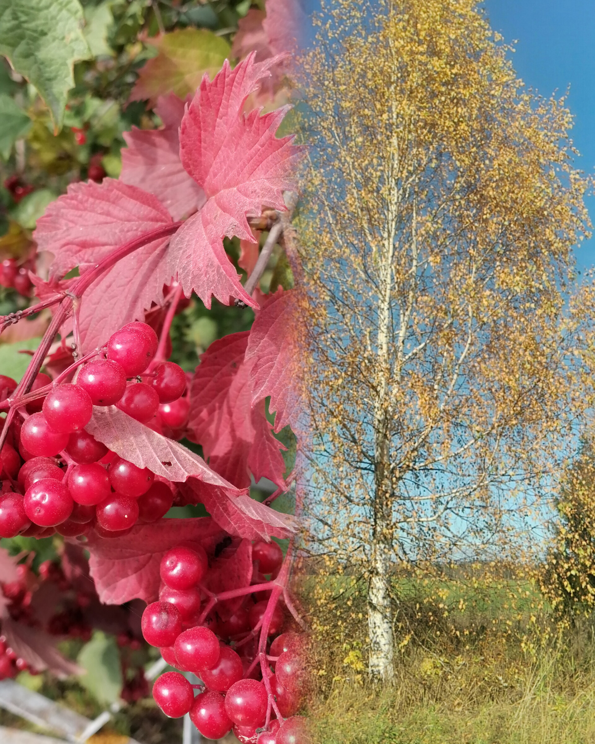 Никуда не денешься...