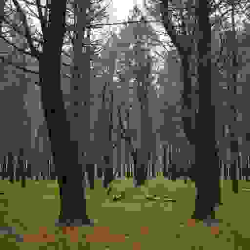 В гуще таинственной зелени