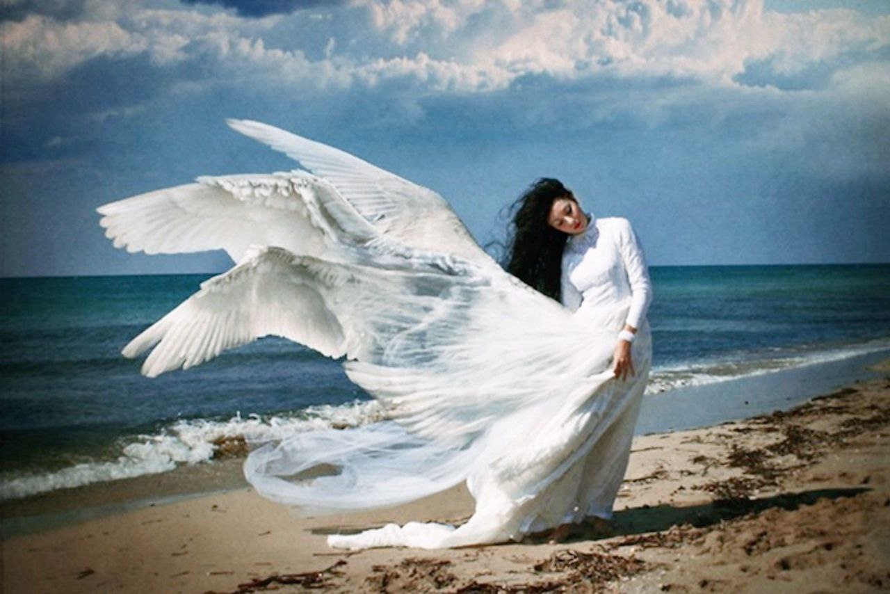 Я - белая птица. 