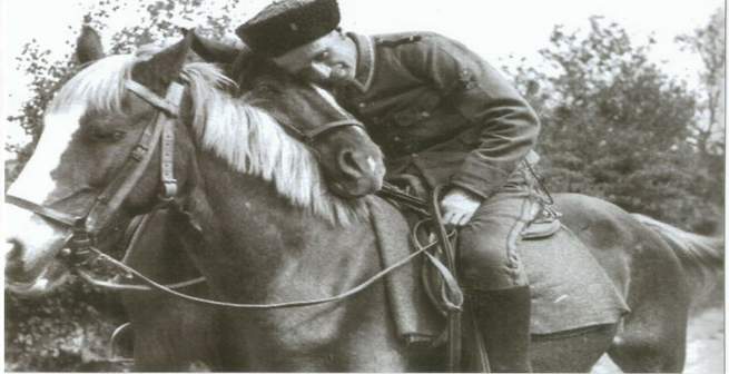 Поставьте памятник коням