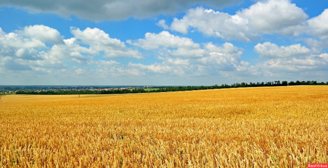 Прекрасен мир Кубани