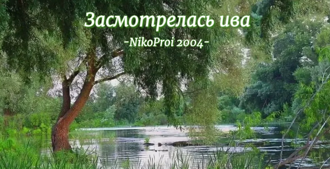 Засмотрелась ива