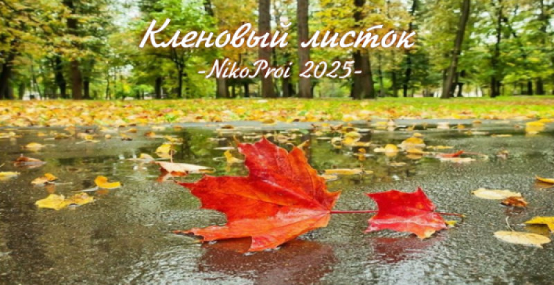 Кленовый листок 