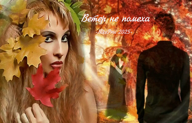 Ветер не помеха