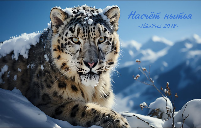 Насчёт нытья