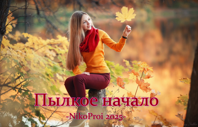 Пылкое начало