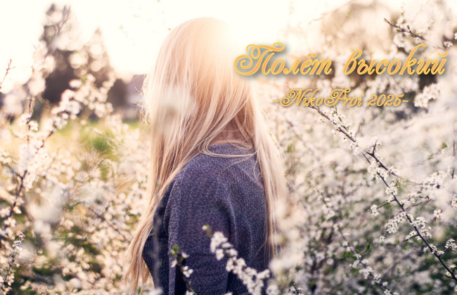 Полёт высокий 