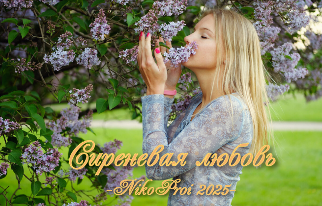 Сиреневая любовь