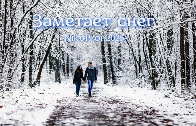 Заметает снег