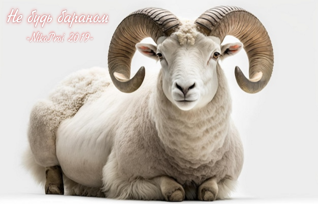 Не будь бараном