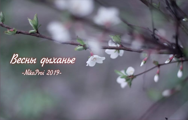 Весны дыханье