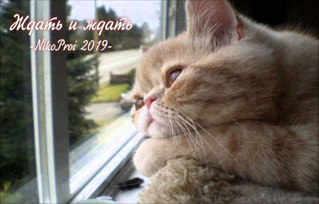 Ждать и ждать 