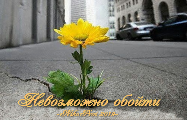 Невозможно обойти