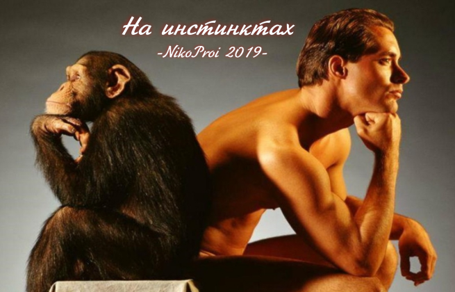 На инстинктах 