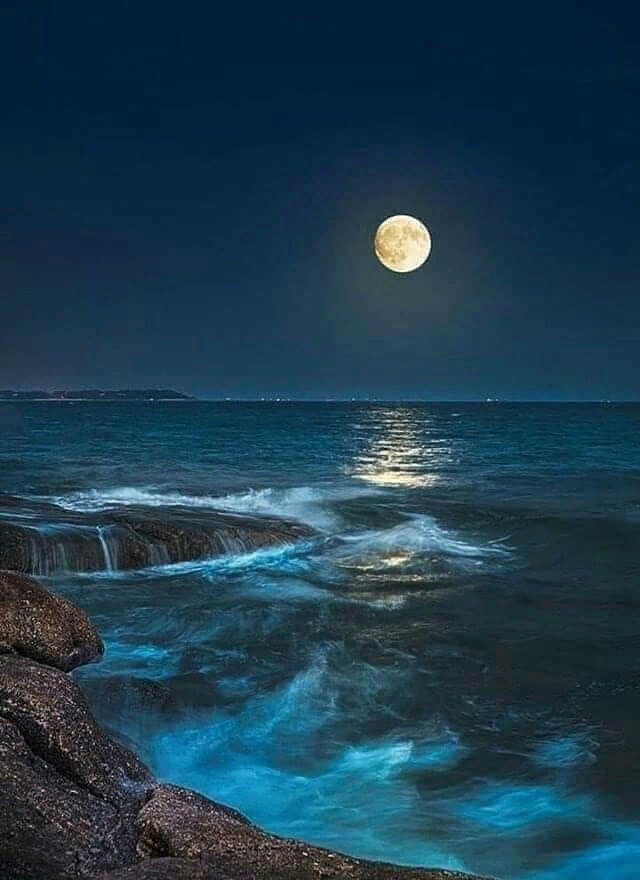 В лунную ночь на берегу