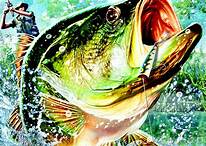 Мы не такие