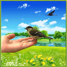 Спасибо вам, читатели мои!