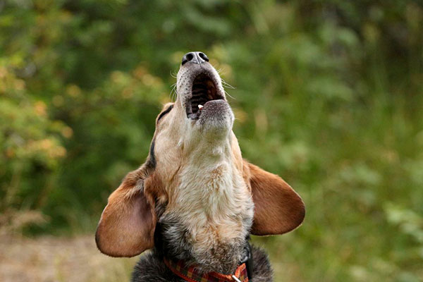 Уж лучше б пил