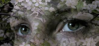 Первое весеннее