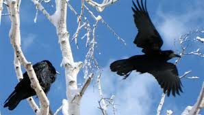 Весенняя миниатюра