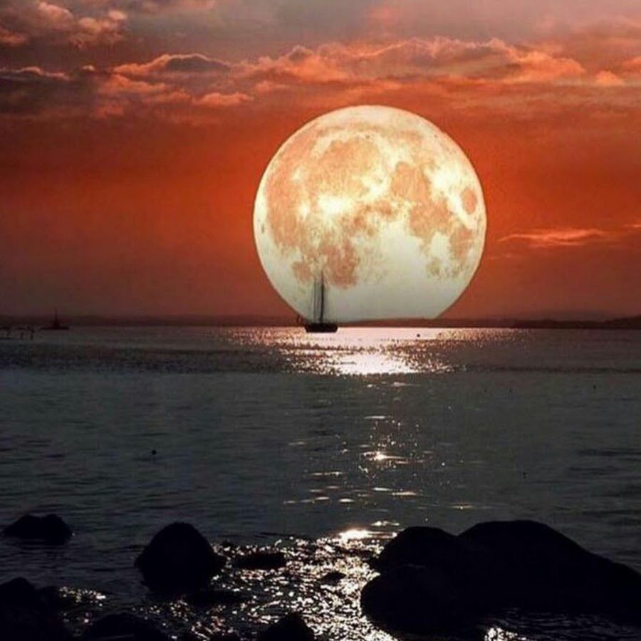А луна так прекрасна 