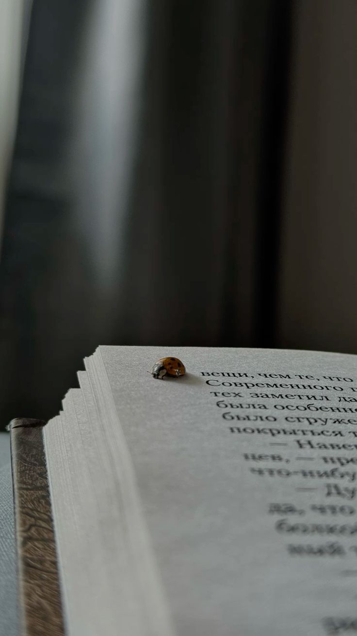 William Shakespeare Sonnet 105