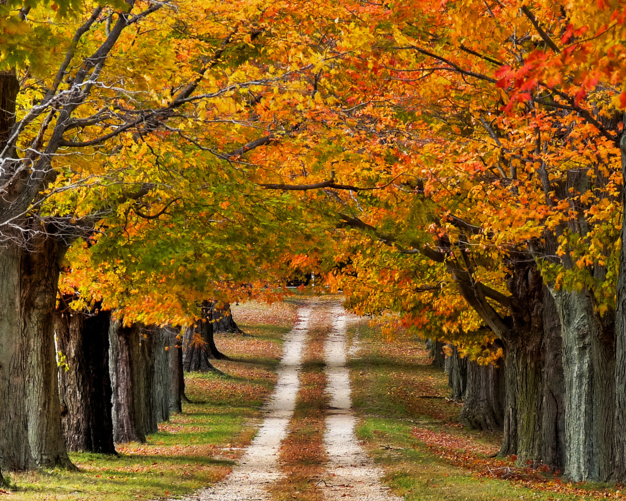 Скоро осень