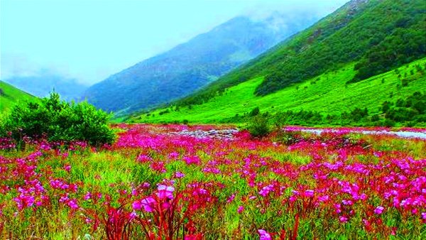 Благоговение пред весной