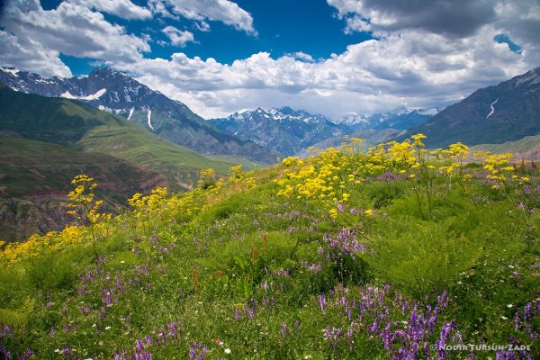 Весеннее настроение