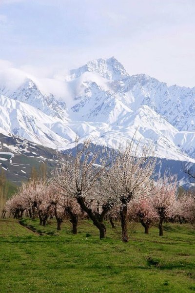 Ранняя весна