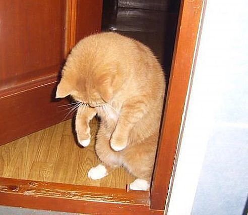 Я вернулся...