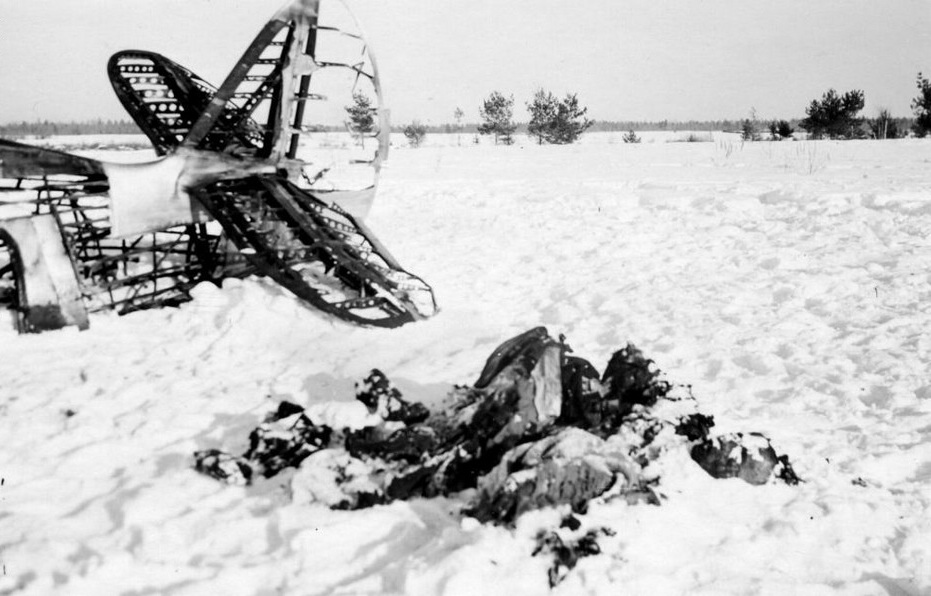 Сталинский сокол