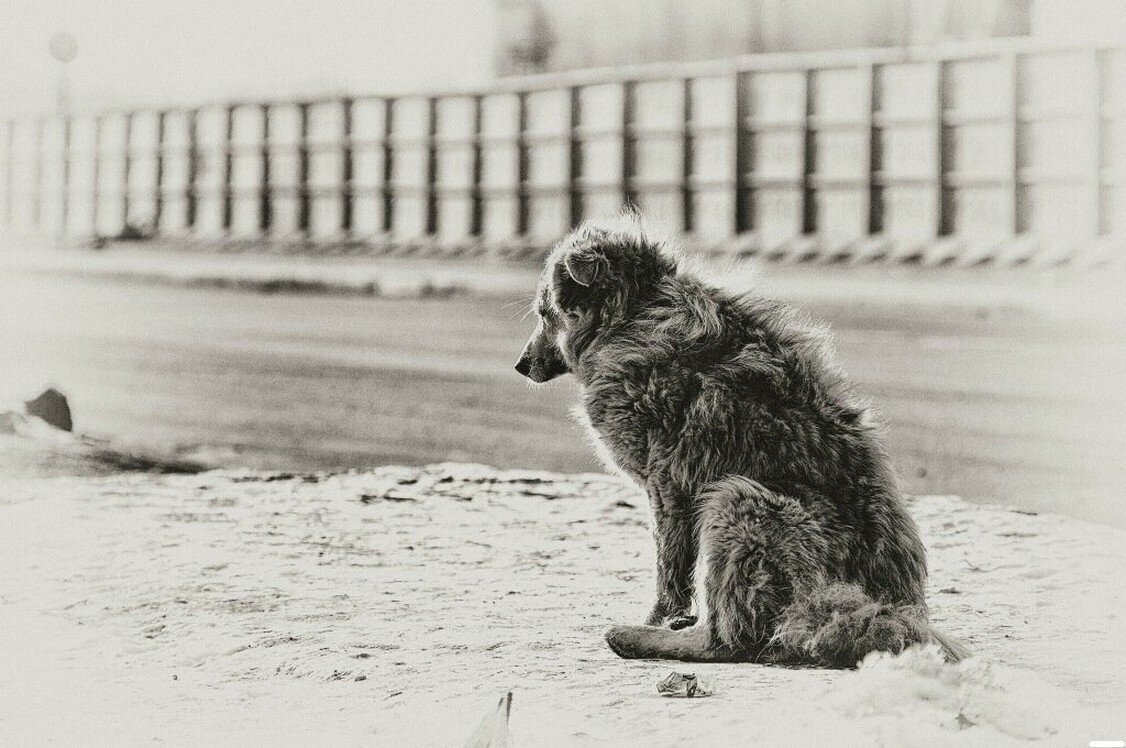 Оставленный