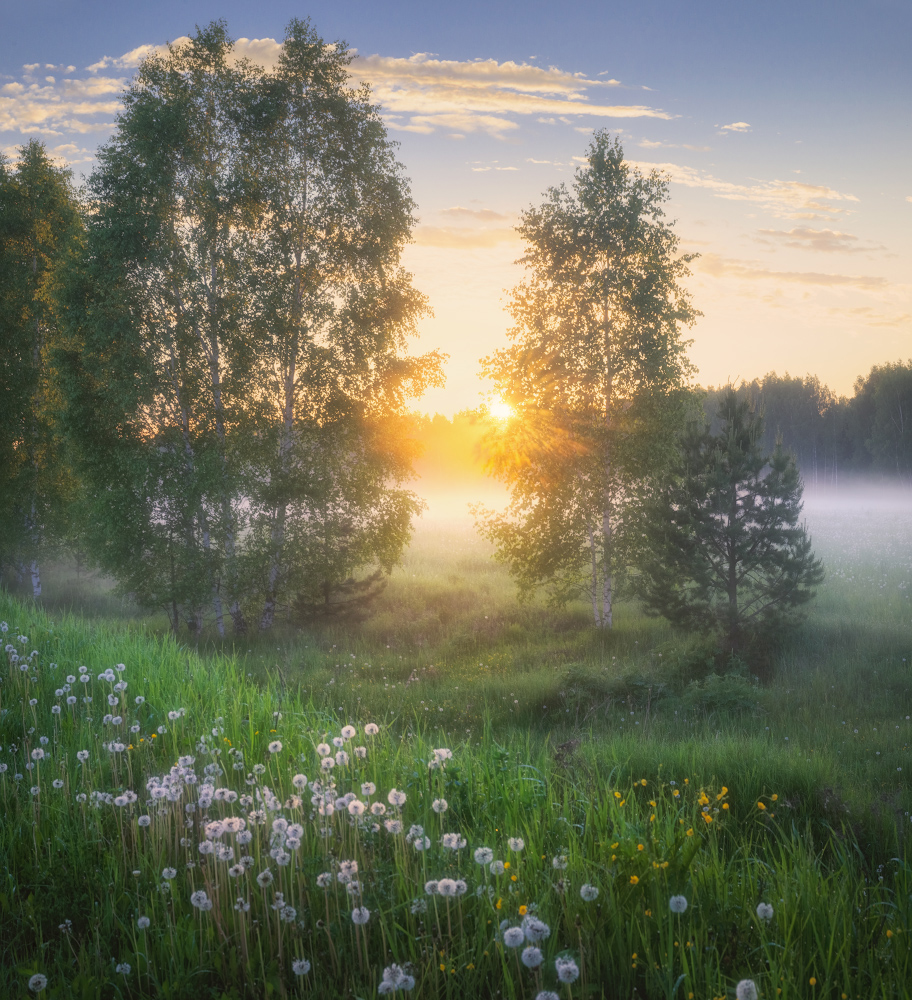 Раннее утро