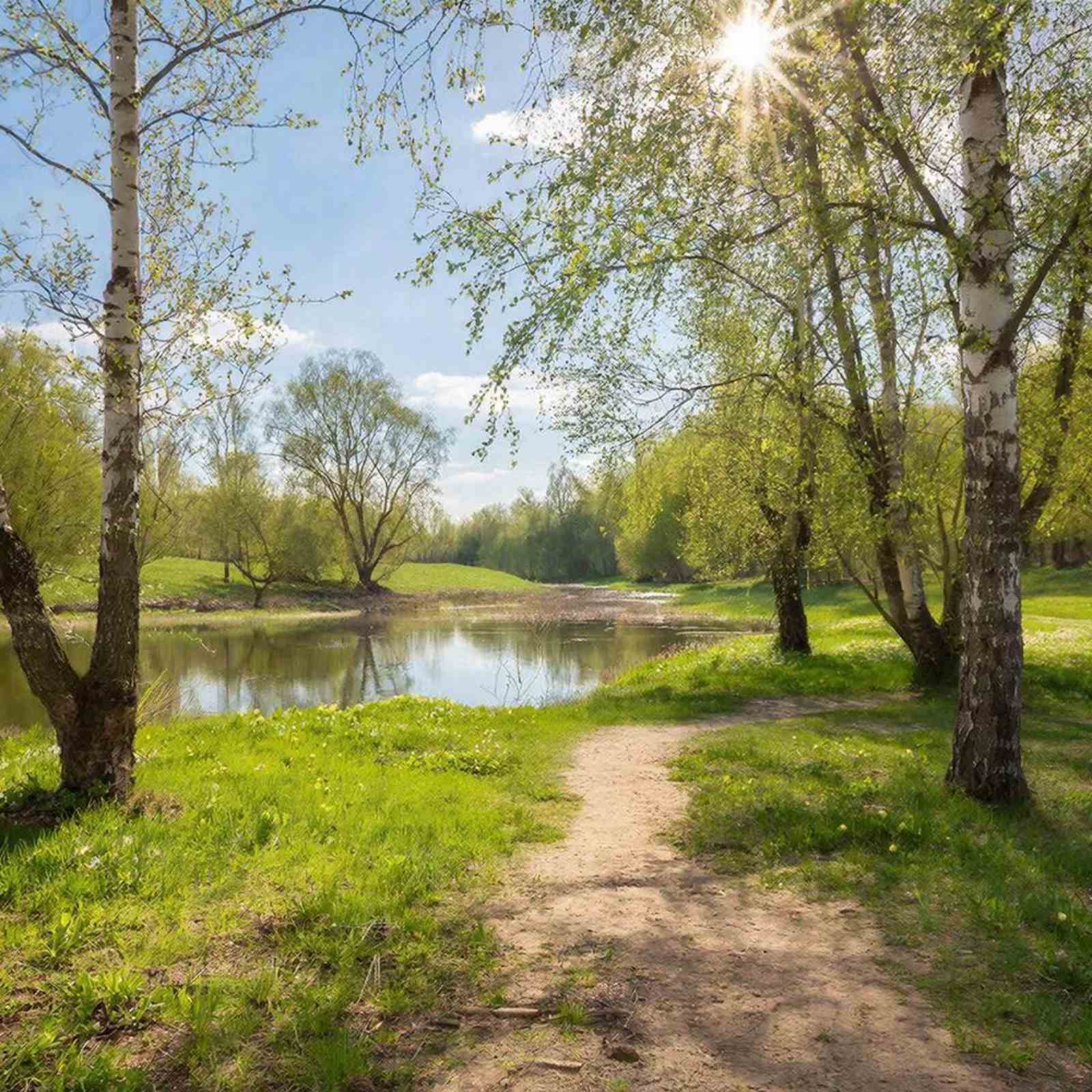 Вновь пало дежавю на лица