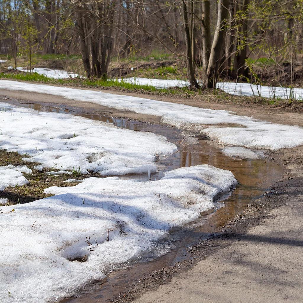 Плюс пять. Весна