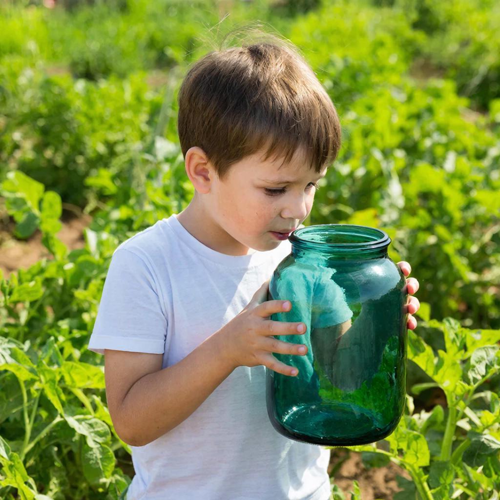 Колорадский жук