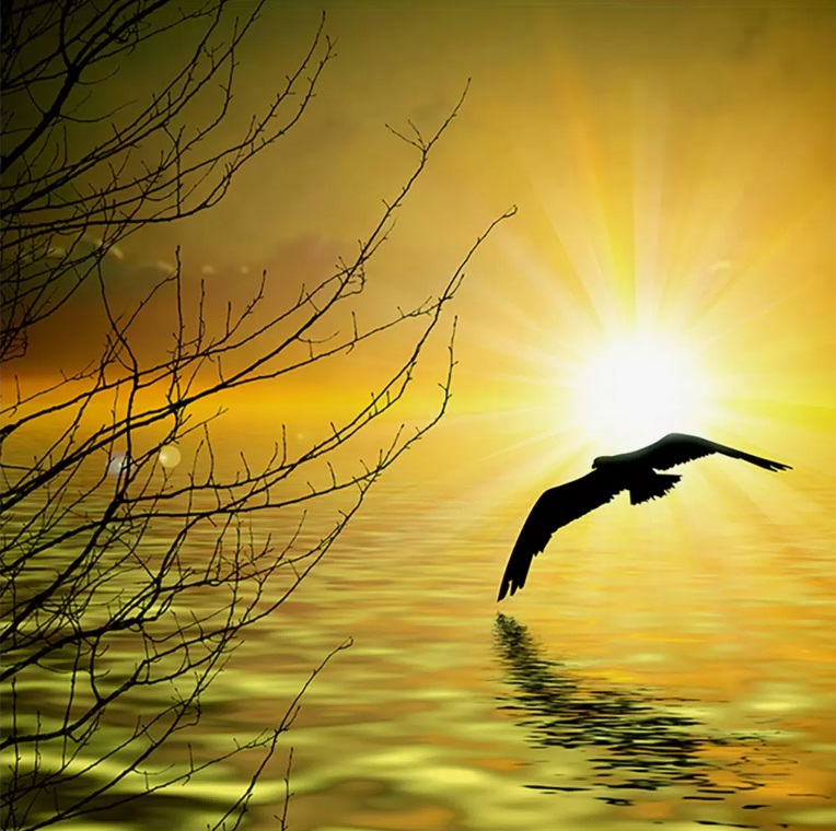 «Существует закон бумеранга»