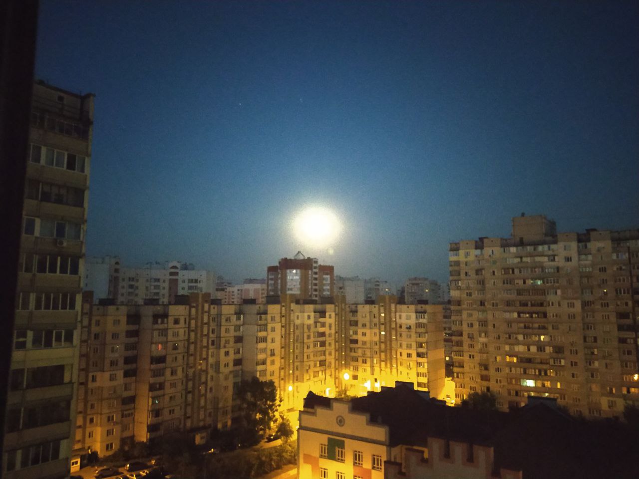 Смотрит недоверчиво...