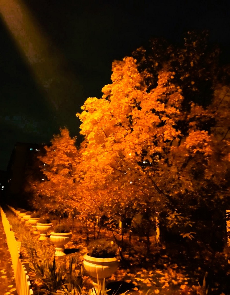 Осень падкая на боль...