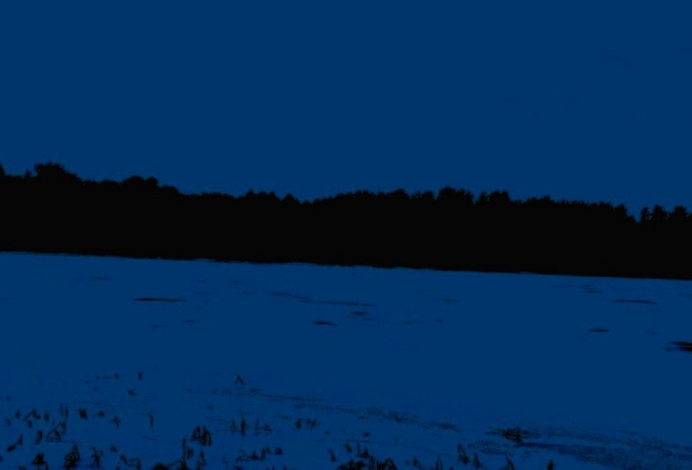 Зимняя зарисовка