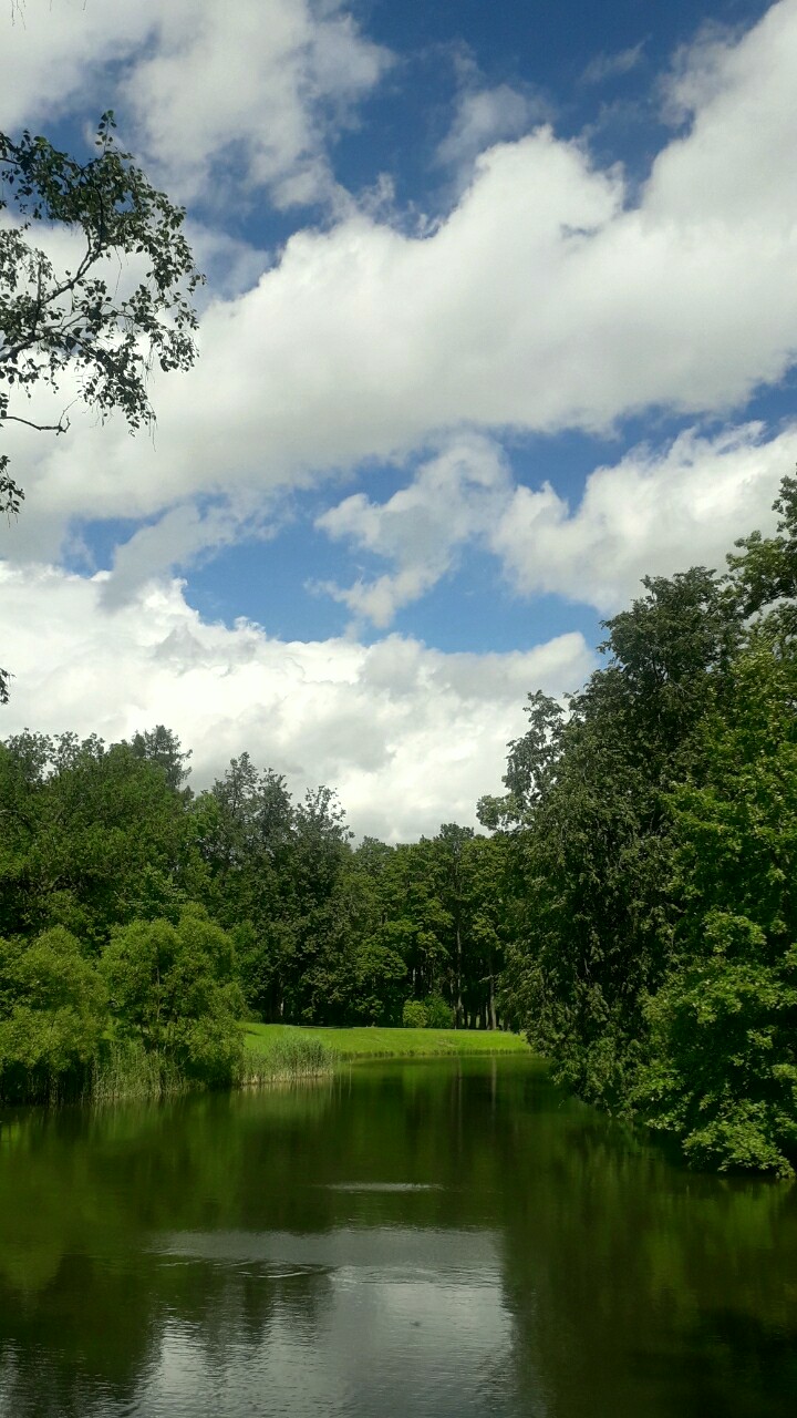 Насыщенные  звёздными лучами